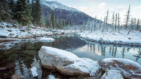 Eagle River Nature Center Public Use Cabin | Must… | ALASKA.ORG