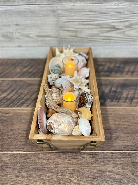 Seashell Centerpiece Sea Shell Beach Decor Wooden Box - Etsy