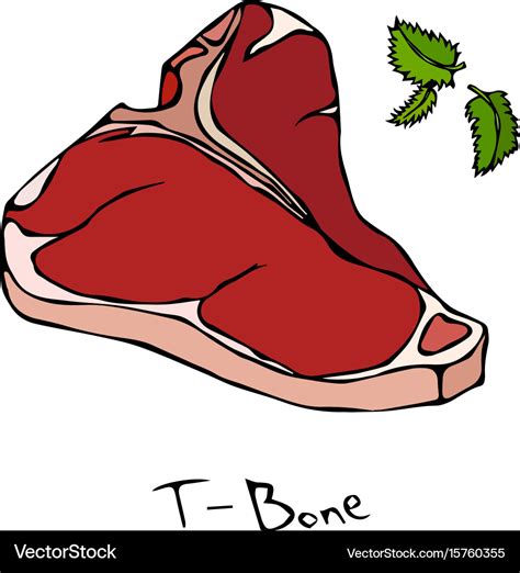 T-bone steak cut isolated on white Royalty Free Vector Image