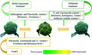 Effects of methyl jasmonate and melatonin treatments on the sensory quality and bioactive ...