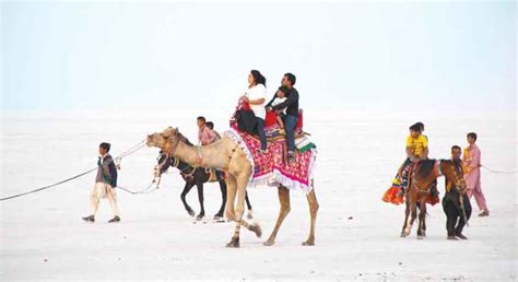 Kutch Rann Utsav Festival 2020-2021