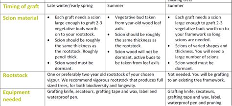 Rules for grafting pear on other trees and varieties – Healthy Food Near Me