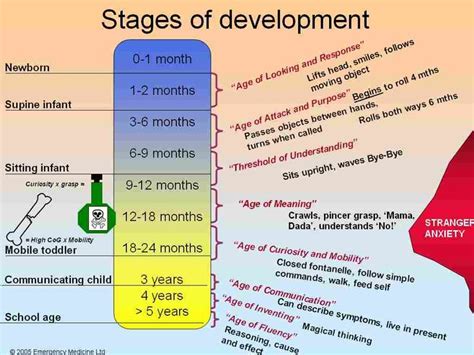 1000+ images about STAGES OF DEVELOPMENT on Pinterest | Child development stages, Charts and ...