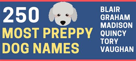 250 Most Unique Preppy Dog Names for Girl & Boy Dogs – Green Garage