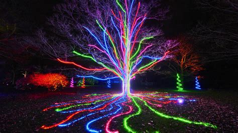 Christmas at Kew Gardens: Christmas Light Dates & Tickets