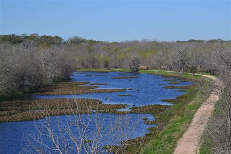 The Alligators of Brazos Bend State Park - The Life Well Traveled