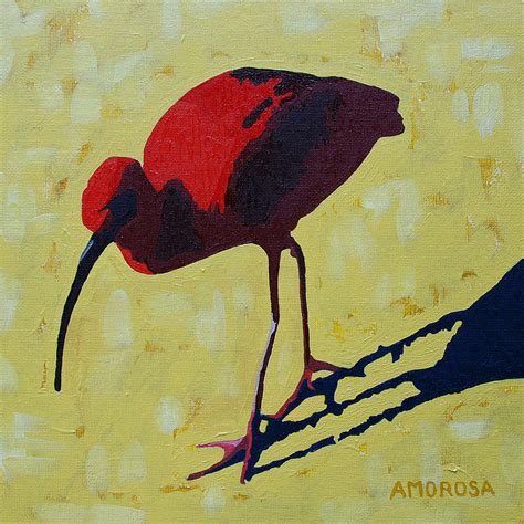 Scarlet Ibis Painting by Donald Amorosa - Fine Art America