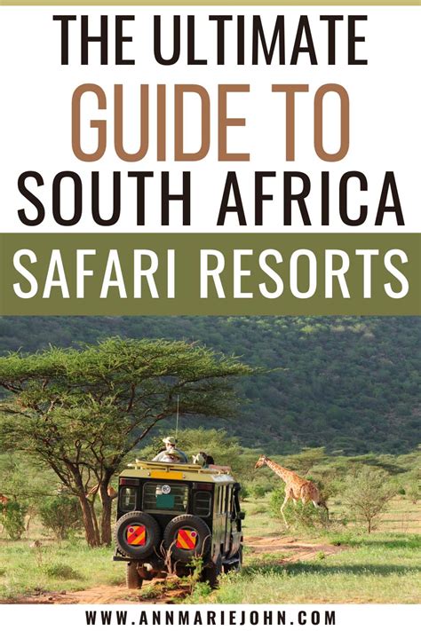 African Adventure Awaits: The Ultimate Guide to Safari Resorts in South Africa - AnnMarie John