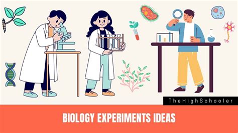 10 Awesome Biology Experiments Ideas For High School Aspirants - TheHighSchooler