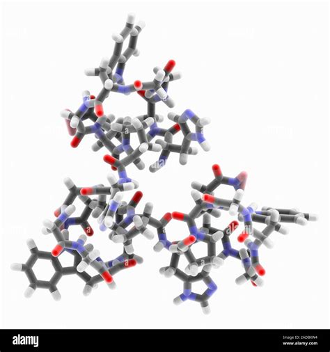 Human major prion protein molecule. Computer model showing the structure of a human major prion ...