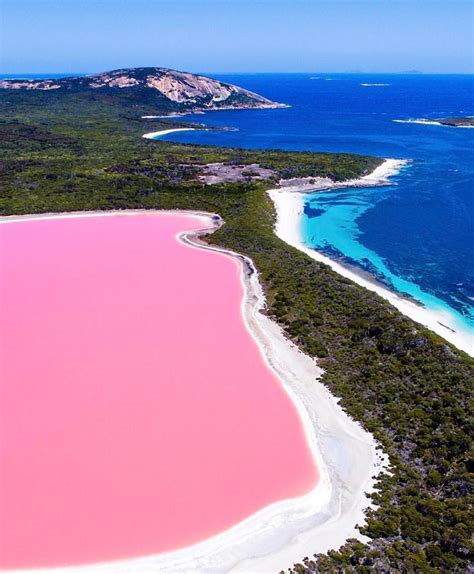 The Most Breath-Taking Pink Lake In The World - MobiSpirit