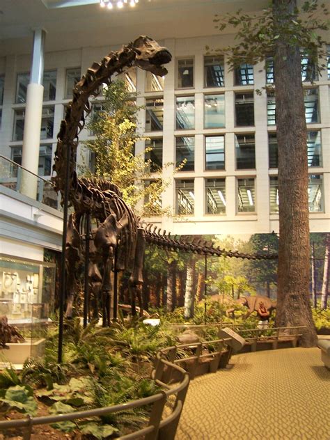 Carnegie Museum of Natural History’s - Dinosaurs in Their … | Flickr