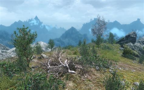 Skyrim Flora Overhaul at Skyrim Nexus - Mods and Community