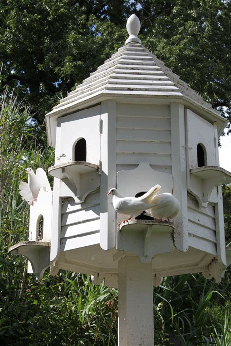 Traditional Dovecote | Bird house, Bird houses, Garden birdhouses