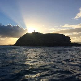 Puffin Island Boat Trips, Anglesey - Puffin Island Boat Trips (en-GB)