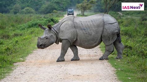 Kaziranga National Park, UNESCO World Heritage Site