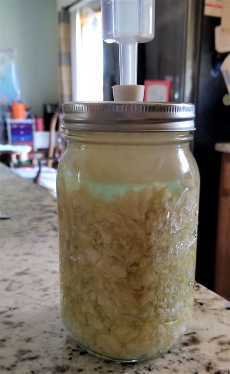 Ferment Sauerkraut And Other Foods The Easy Way | Mommy Bunch