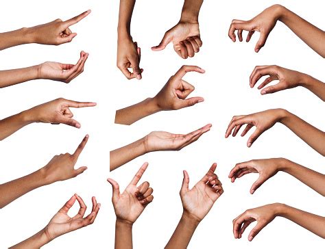 Set Of Various Hand Gestures Isolated On White Stock Photo - Download Image Now - iStock