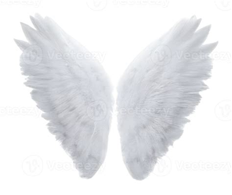 white angel wings. 21887974 PNG