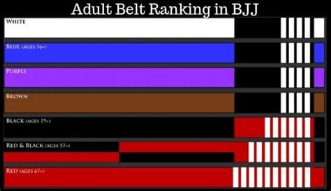 The BJJ Belt System – Everything You Need to Know - Origin Fighter