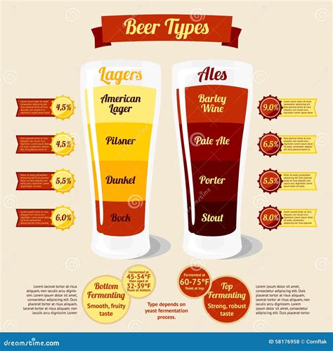 Types of Beer Infographic, with Places for Your Stock Vector ...