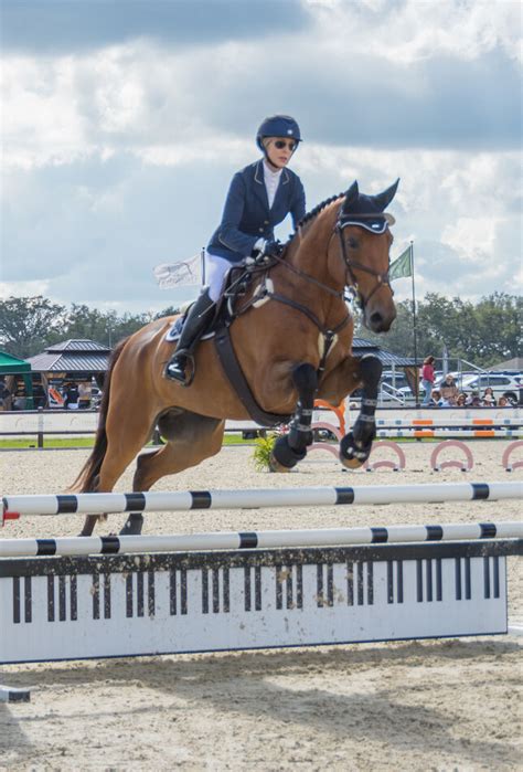 Equestrian Jumping: Taken at Terra Nova Equestrian Center at Myakka Florida. Enjoy you horse ...