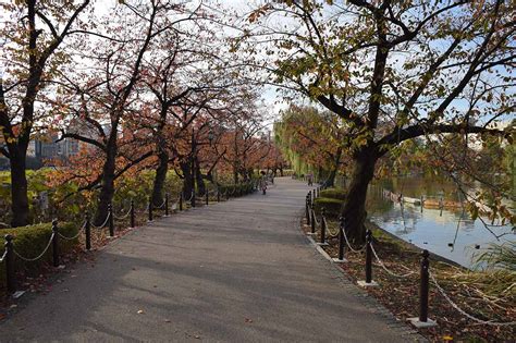 A Morning Stroll of Ueno Park, Tokyo, Japan