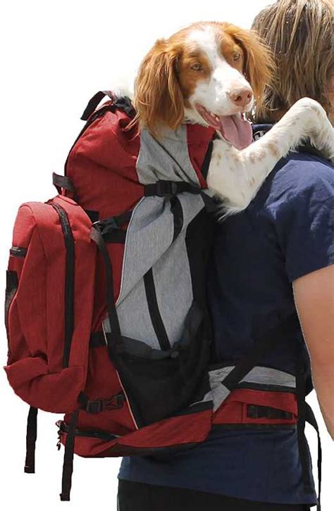 Best Dog Backpack Carriers for Hiking, Large & Small Dog Front Carrier 2021