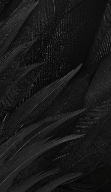 Black Feather Wallpapers - Wallpaper Cave