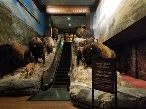 Wonders of Wildlife Museum and Aquarium Entrance - ZooChat