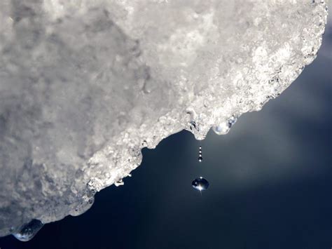 Someone stole 30,000 litres of iceberg water from a vodka company ...