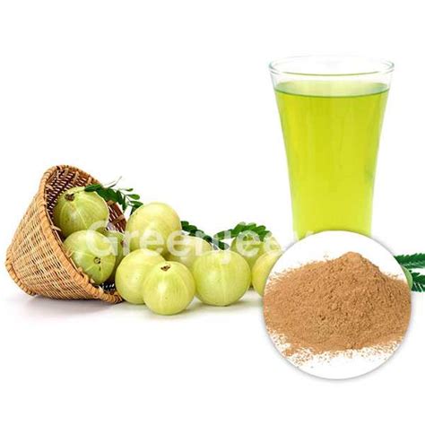 USDA Approved Bulk Organic Amla Fruit Juice Powder Supplier in USA