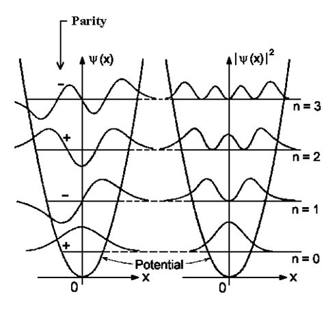 Physical implications of the simple harmonic oscillator quantum mechanical solutions - Chemistry ...