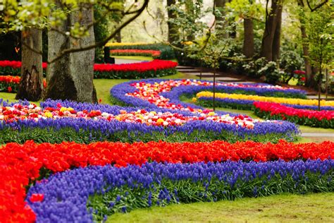 Keukenhof, the largest flower show in the world near Amsterdam - Unique ...