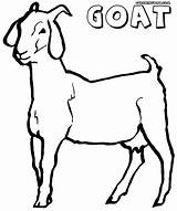 Milking Goat Coloring Pages sketch template