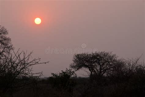 Pink sunrise stock photo. Image of scene, pinkish, dusk - 52436092