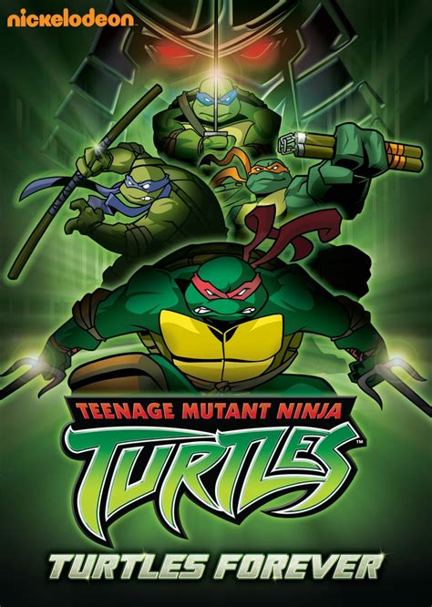 Teenage Mutant Ninja Turtles (2003 TV series) video releases ...