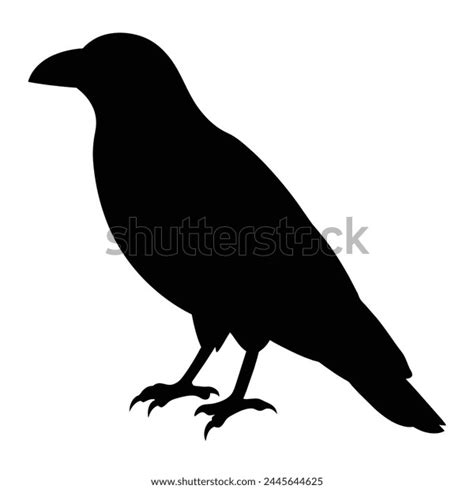 Silhouette Raven Bird Stock Vector (Royalty Free) 2445644625 | Shutterstock