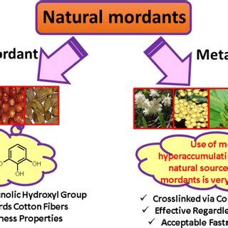 Schematic of mordanting and dyeing processes based on first- and ...