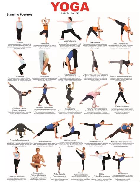 yoga poses | Essential yoga poses, Yoga poses, Yoga poses advanced