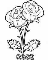 Roses Coloring Pages sketch template