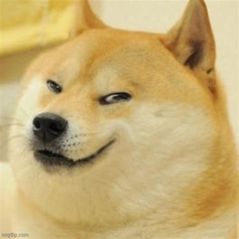 evil doge Memes - Imgflip