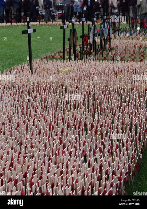 Remembrance Day Poppies Stock Photo - Alamy