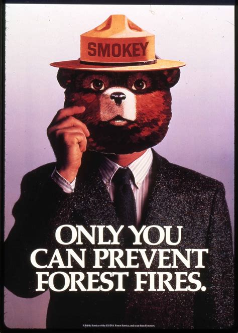 Smokey Bear Poster Contest 2024 - Loria Nichol