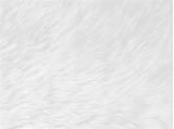 Premium Photo  White Clean Wool texture Background Light Natural Sheep sketch template