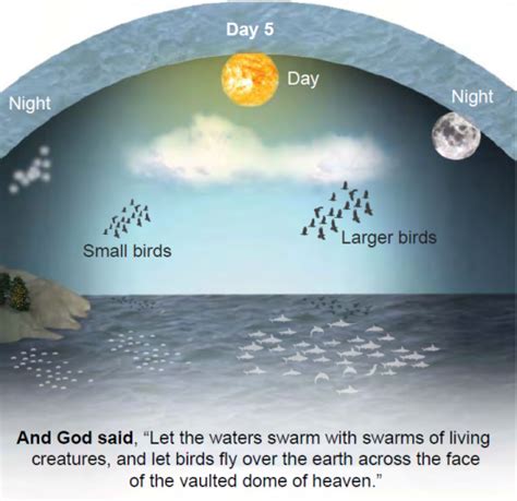 The Firmament: What Did God Create on Day 2? | Answers Research Journal