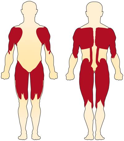 Spinal Muscular Atrophy (SMA) - Amara Pain & Spine Management