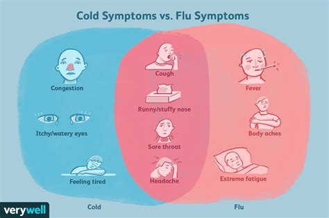 Cold and Flu: Overview and More