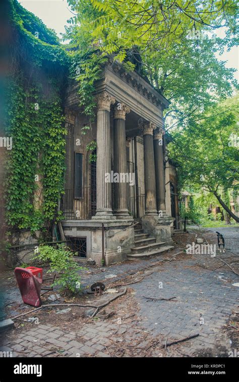 Abandoned old building in Bucharest with valuable architecture Stock ...