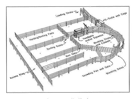 A design like the picture above shows the handling ... | Cattle ...